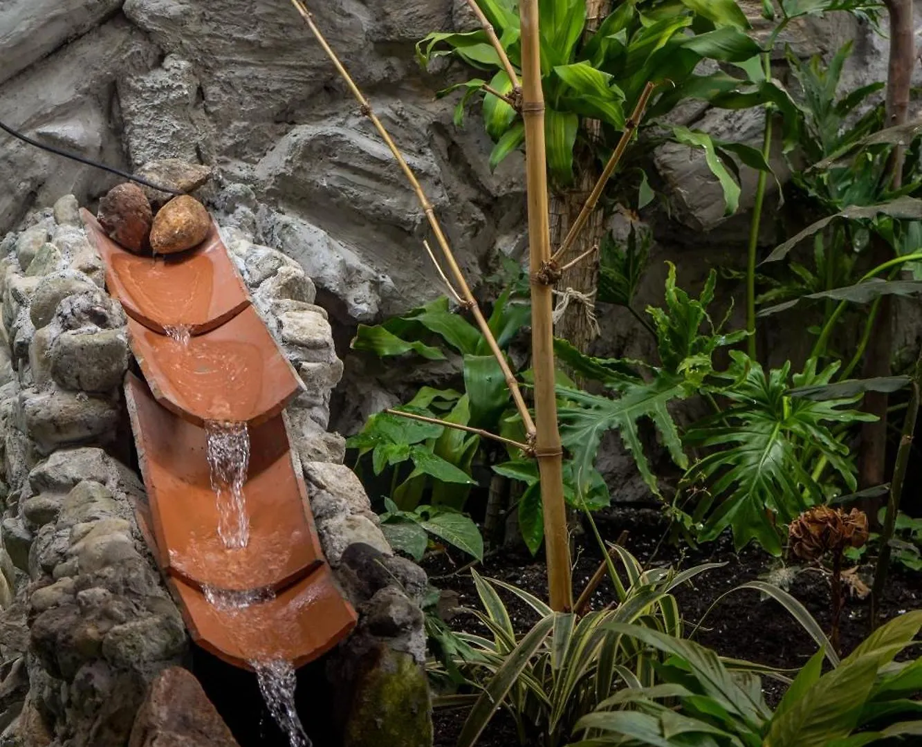 Pensión Corazon Verde Itagüí Colombia